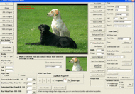 VISCOM TIFF Viewer ActiveX SDK screenshot